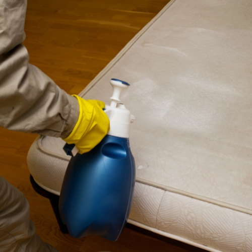 mattress cleaning services
